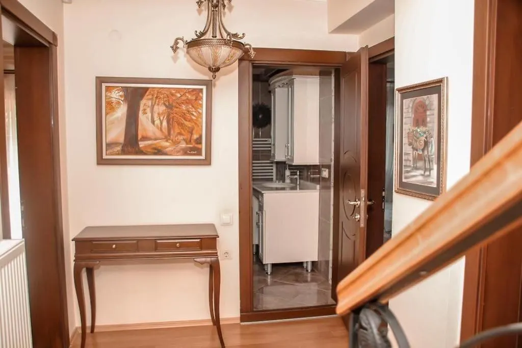 Luxury Villa Neighboring Oludeniz Fethiye Apartment